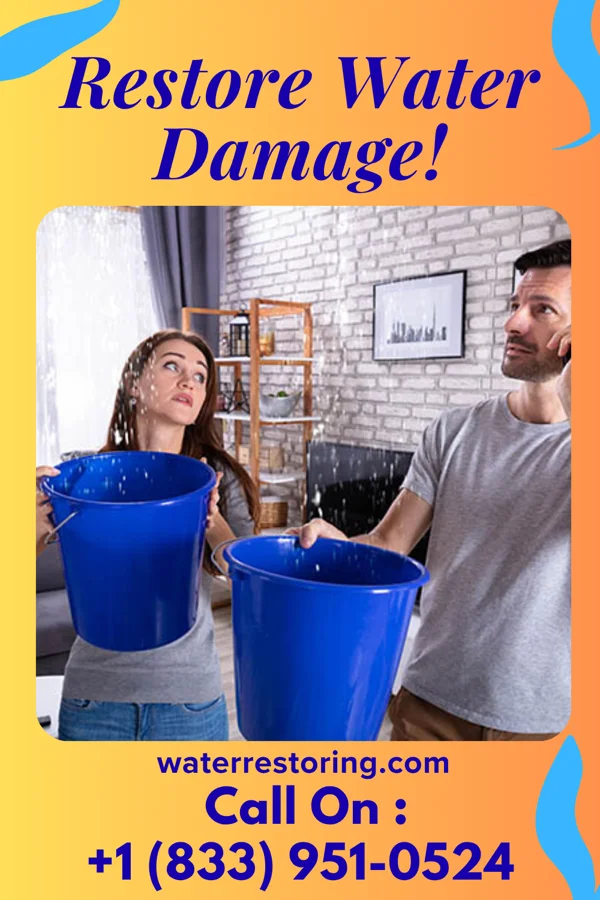 water restoration Rapid Recovery Specialists Verona